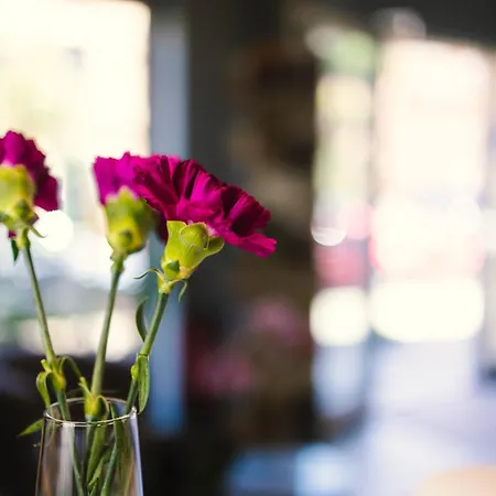 Altstadt-perle X-lodges 公寓式酒店