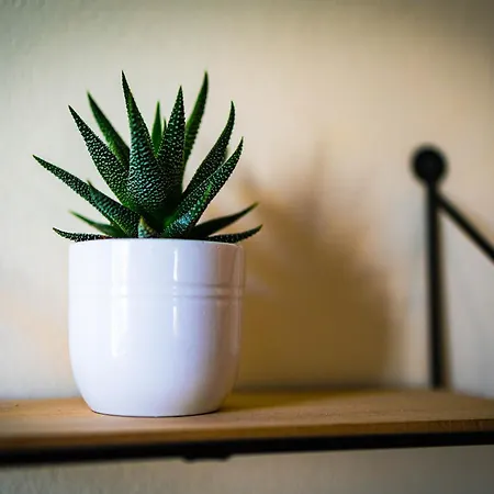 Altstadt-perle X-lodges 公寓式酒店 *