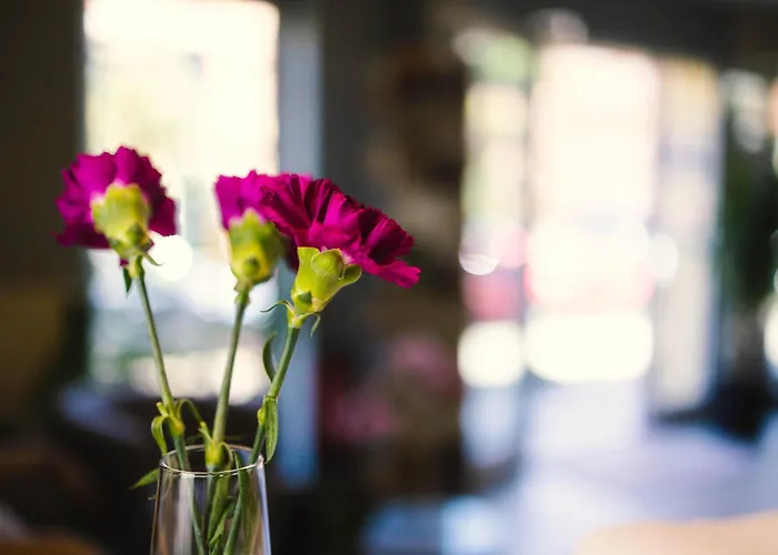 Altstadt-perle X-lodges 公寓式酒店