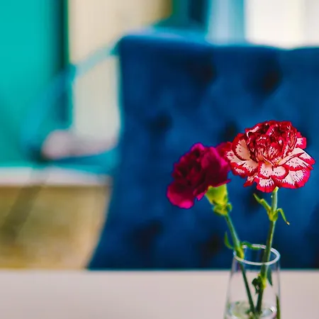 Altstadt-perle X-lodges