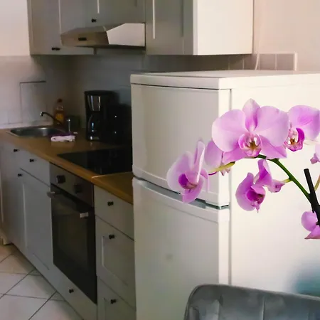 Appart hôtel Altstadt-perle X-lodges *