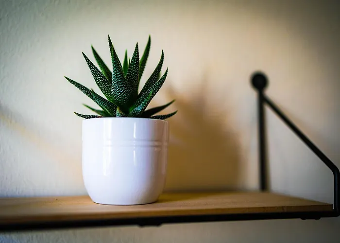 Altstadt-perle X-lodges Ξενοδοχείο με διαμερίσματα *