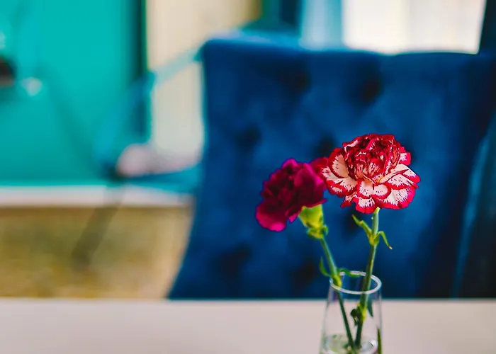 Altstadt-perle X-lodges