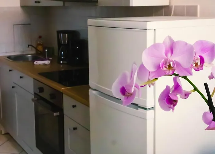 Ξενοδοχείο με διαμερίσματα Altstadt-perle X-lodges *